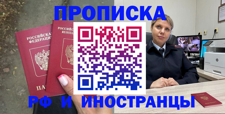 прописка в Курчалом
